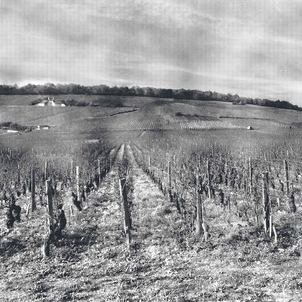 Weinbaugebiet Burgund