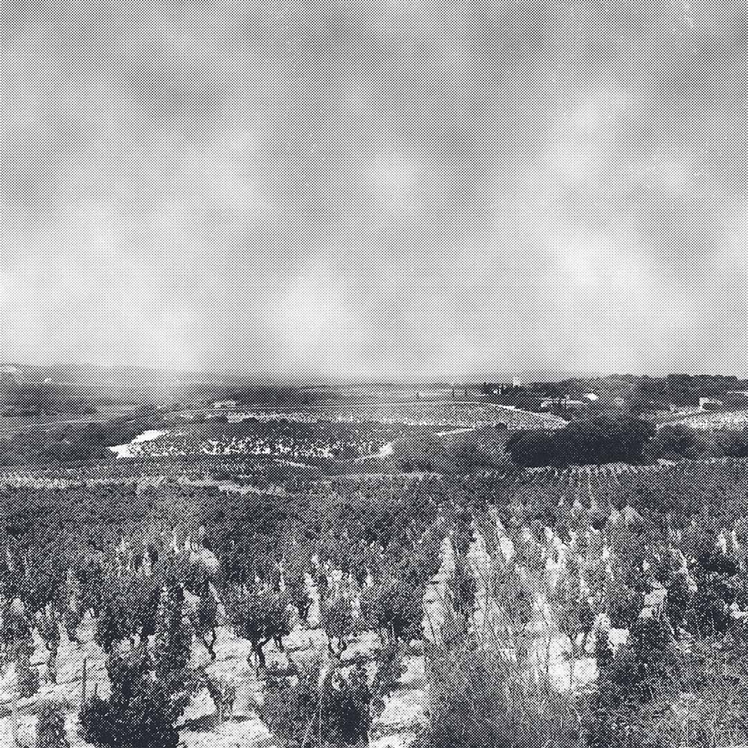 Weinbaugebiet Südliche Rhone